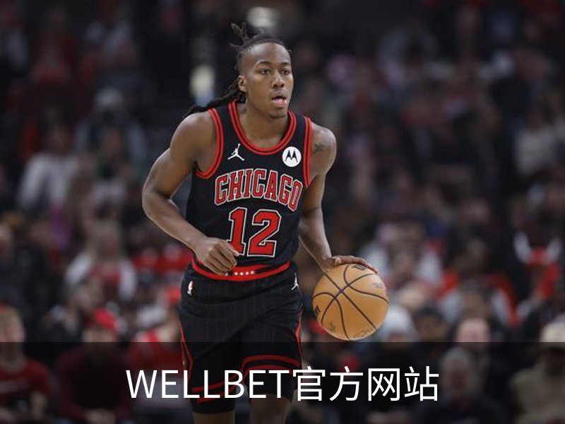 关于WELLBET官方网站